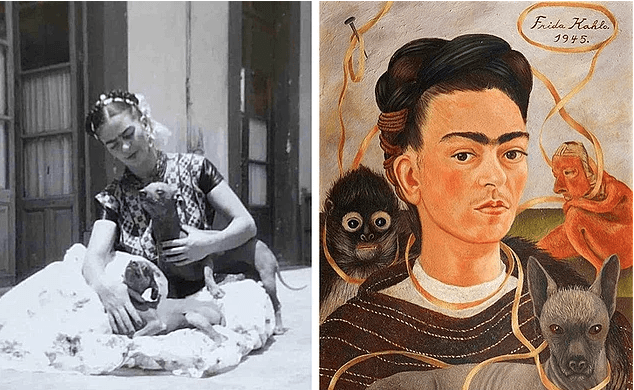 Frida Kahlo'nun gizem dolu hayat öyküsü! 12