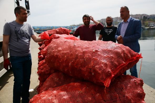 Av yasağı başladı balıkçıların geçim kaynağı oldu! 1