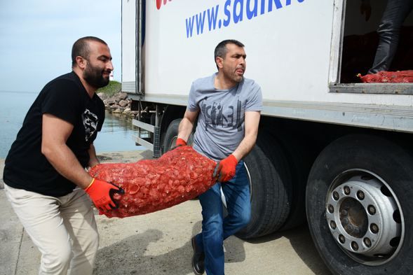 Av yasağı başladı balıkçıların geçim kaynağı oldu! 6
