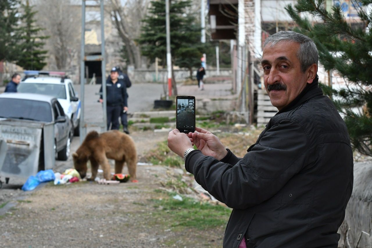 Aç kalan boz ayı mahalleye indi... 7