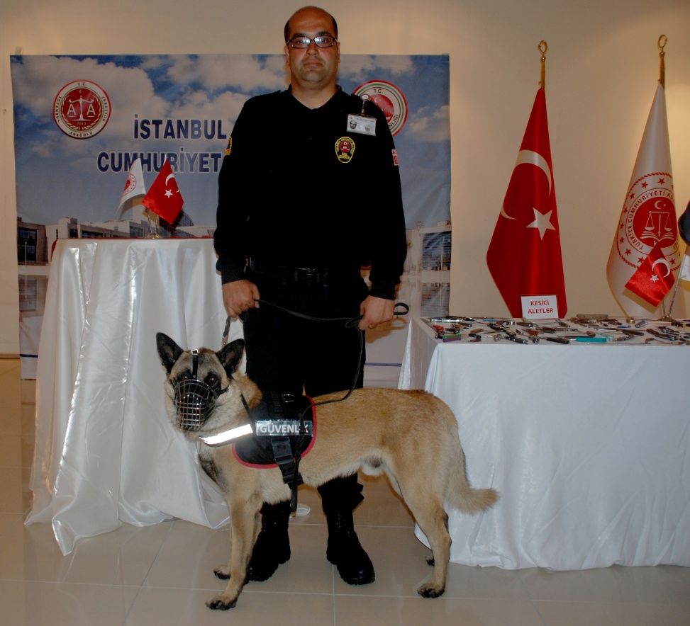 İnanılmaz ama bunların hepsi adliye girişinde yakalandı! 11