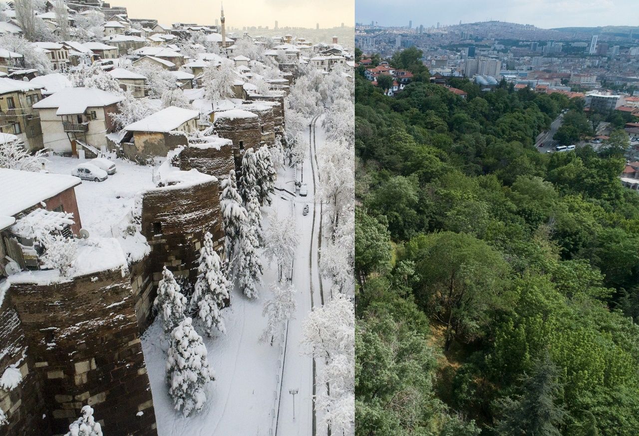 Yarısı kış, yarısı yaz... 1