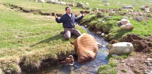 Haluk Levent'ten çiftçiye yardım! 1
