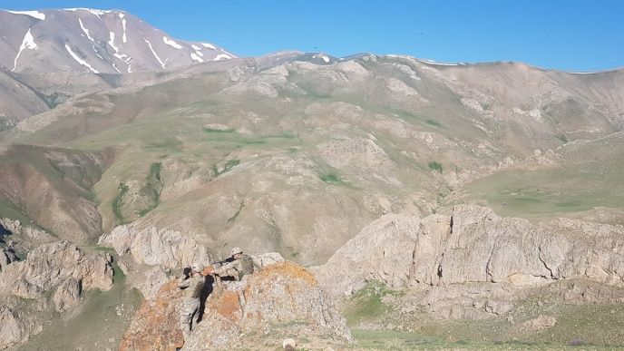 PKK'ya Van'da ağır darbe vuruldu! 4