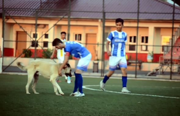 Maçın ortasında sahaya girince şoke oldular! 1