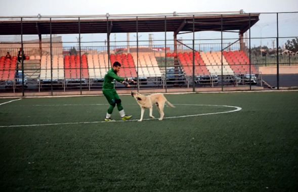 Maçın ortasında sahaya girince şoke oldular! 2