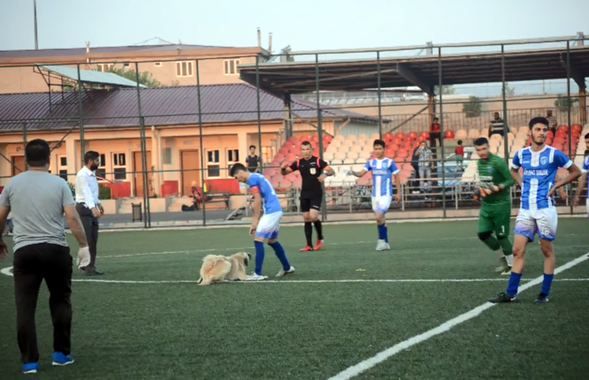 Maçın ortasında sahaya girince şoke oldular! 3
