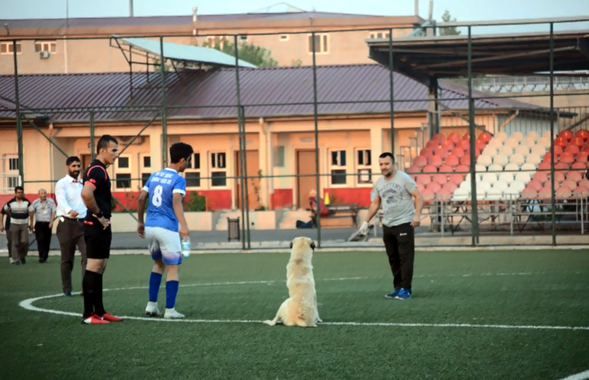 Maçın ortasında sahaya girince şoke oldular! 5