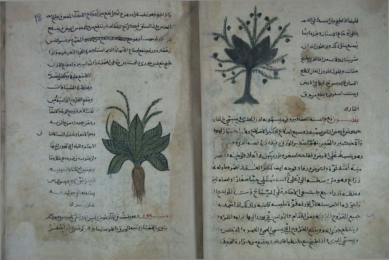 Unutulan kelimeleri korumak için kitap hastanesi kuruldu! 5