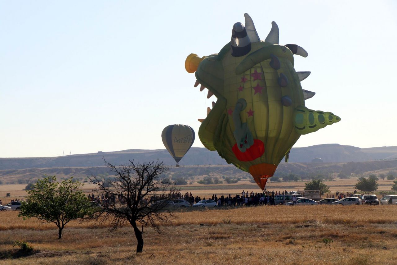 İlginç balonlar gökyüzünü süsledi 12
