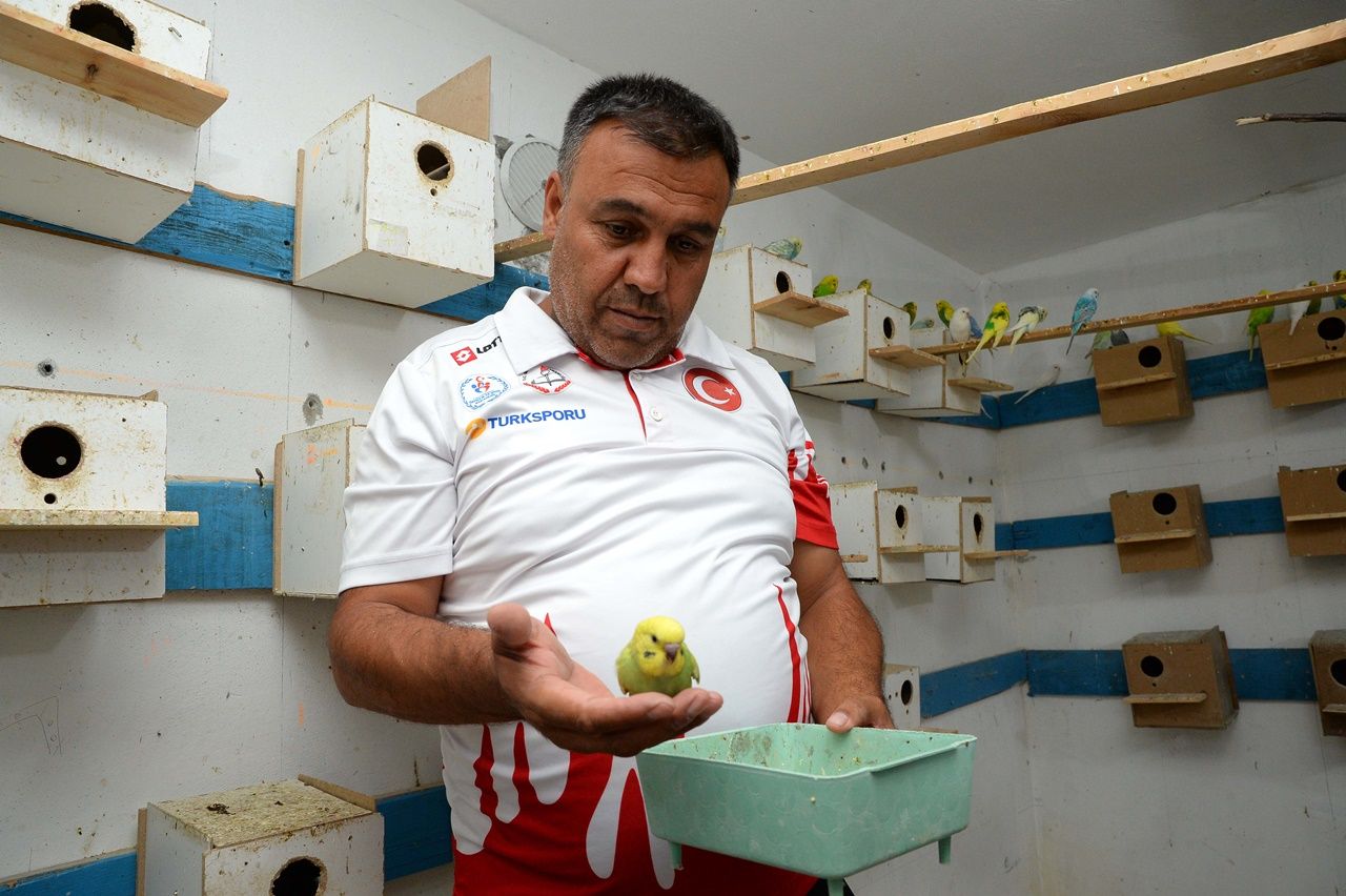 Kuşları için doğal yaşam alanı oluşturdu... 14
