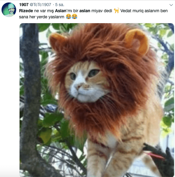 Galatasaraylılarla fena dalga geçtiler! 8