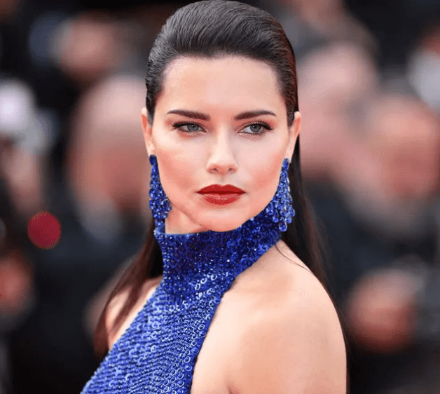 Adriana Lima Türk iş insanı ile görüntülendi! 8