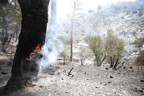 Yangından geriye yürek burkan kareler kaldı! 5