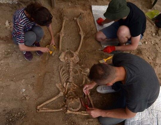 Sinop'ta bulunan 200 yıllık iskeletin ilginç sırrı 3