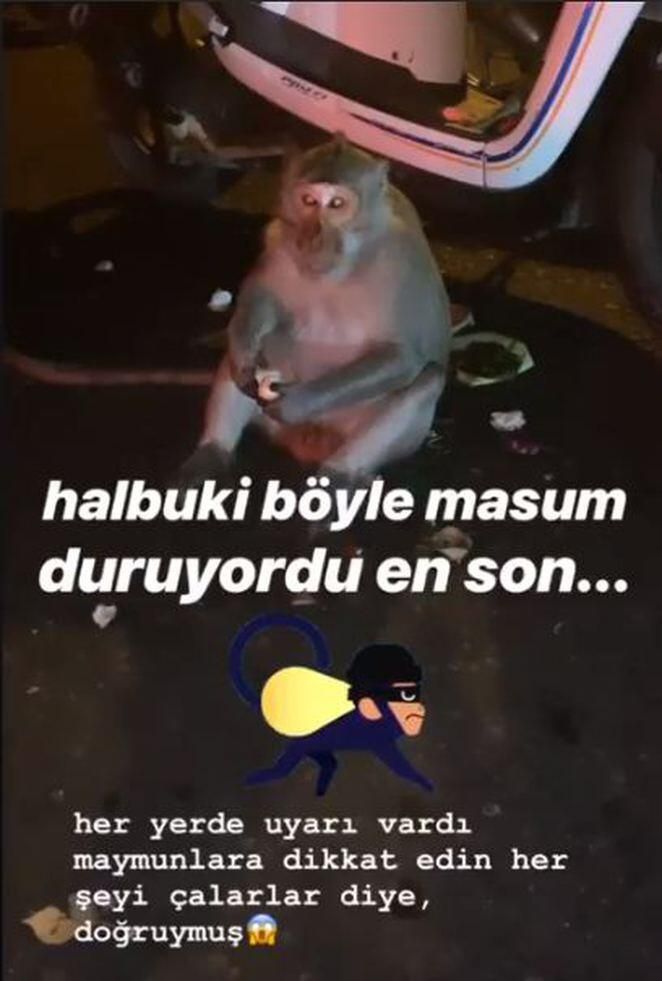 Müge Boz balayında telefonunu maymuna çaldırdı! 6