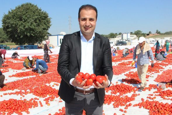 Kilosu 4 euroya satılıyor! 19
