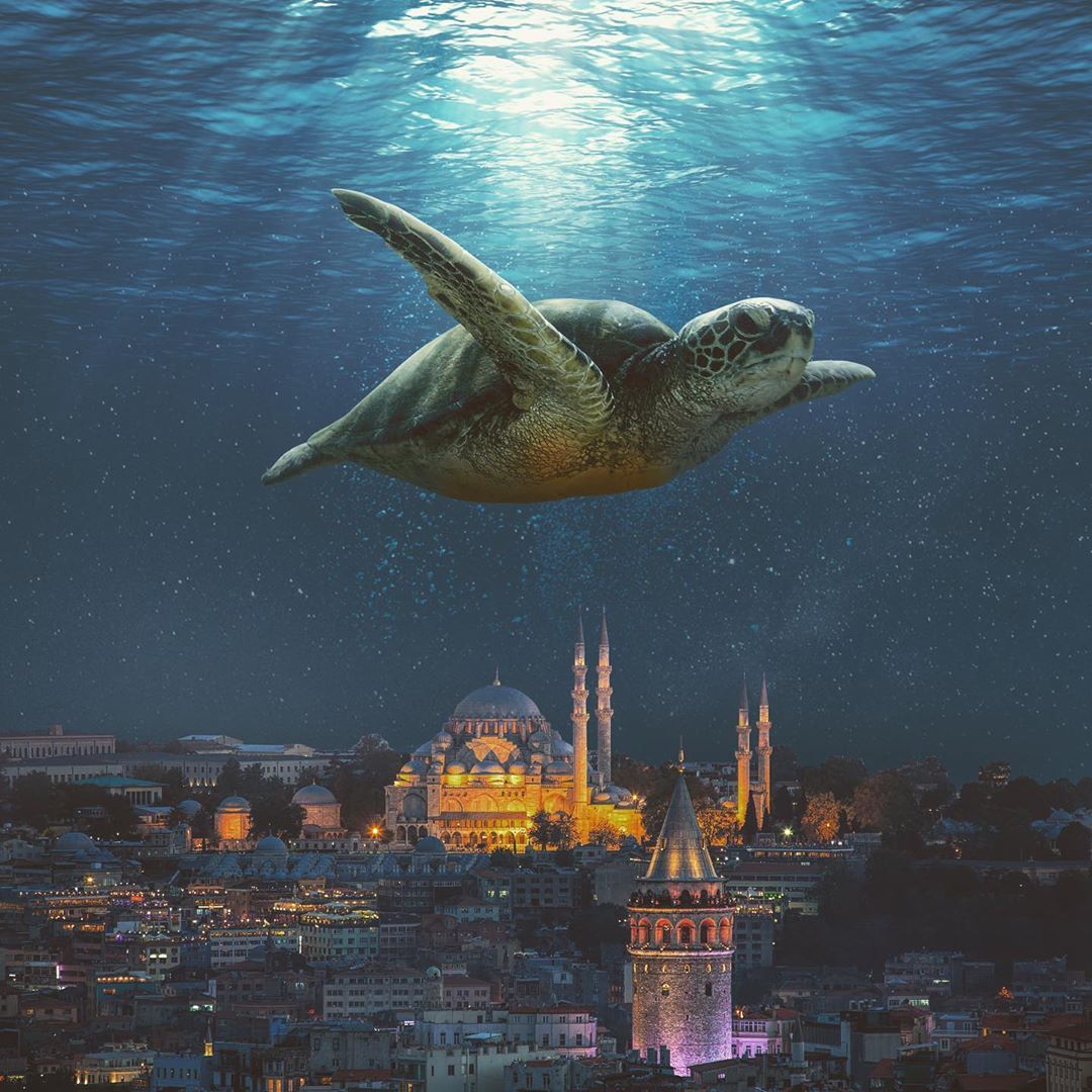 Sürrealist çalışmalarla İstanbul'da masal dünyası! 14