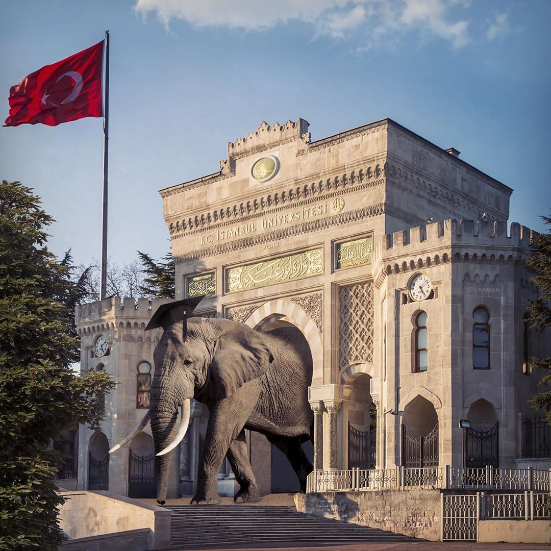 Sürrealist çalışmalarla İstanbul'da masal dünyası! 20