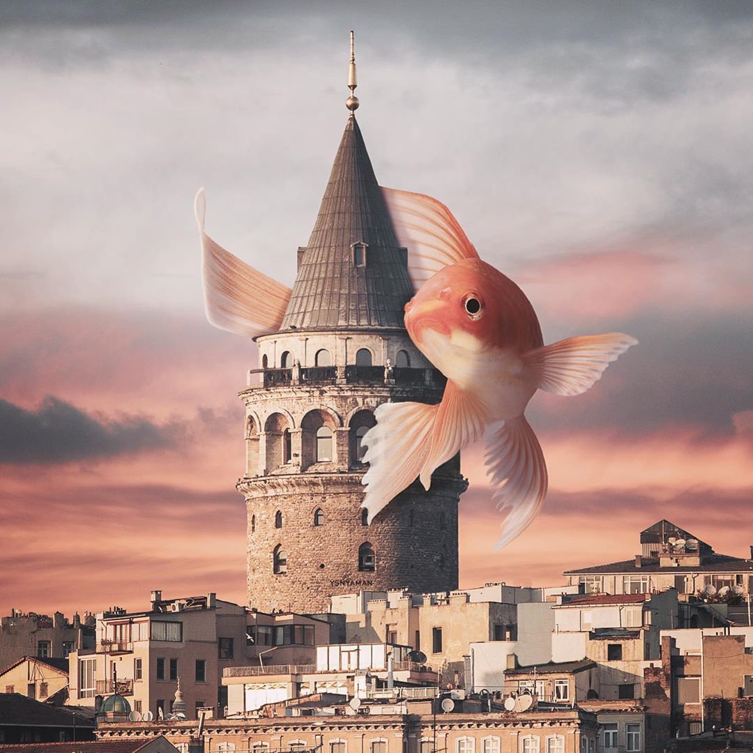 Sürrealist çalışmalarla İstanbul'da masal dünyası! 23