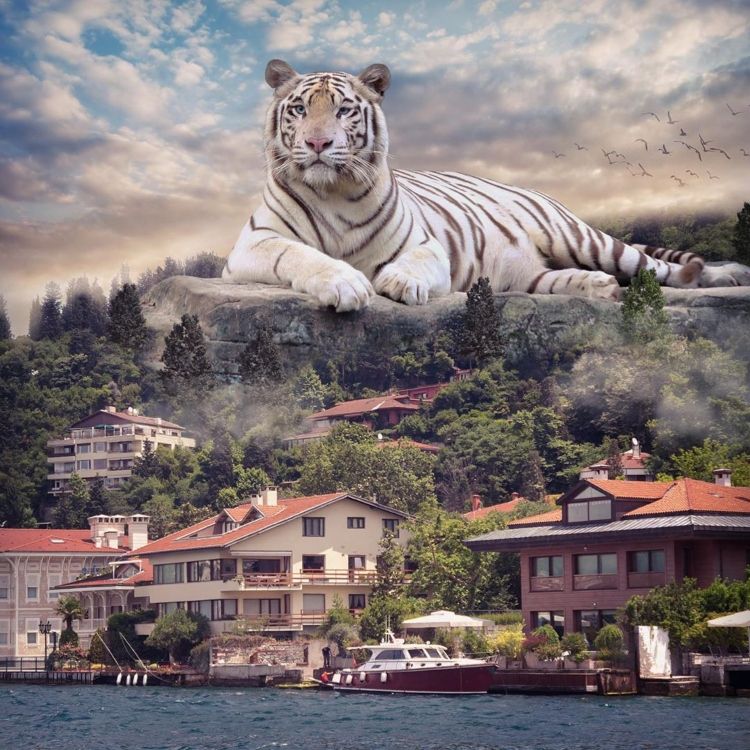 Sürrealist çalışmalarla İstanbul'da masal dünyası! 31