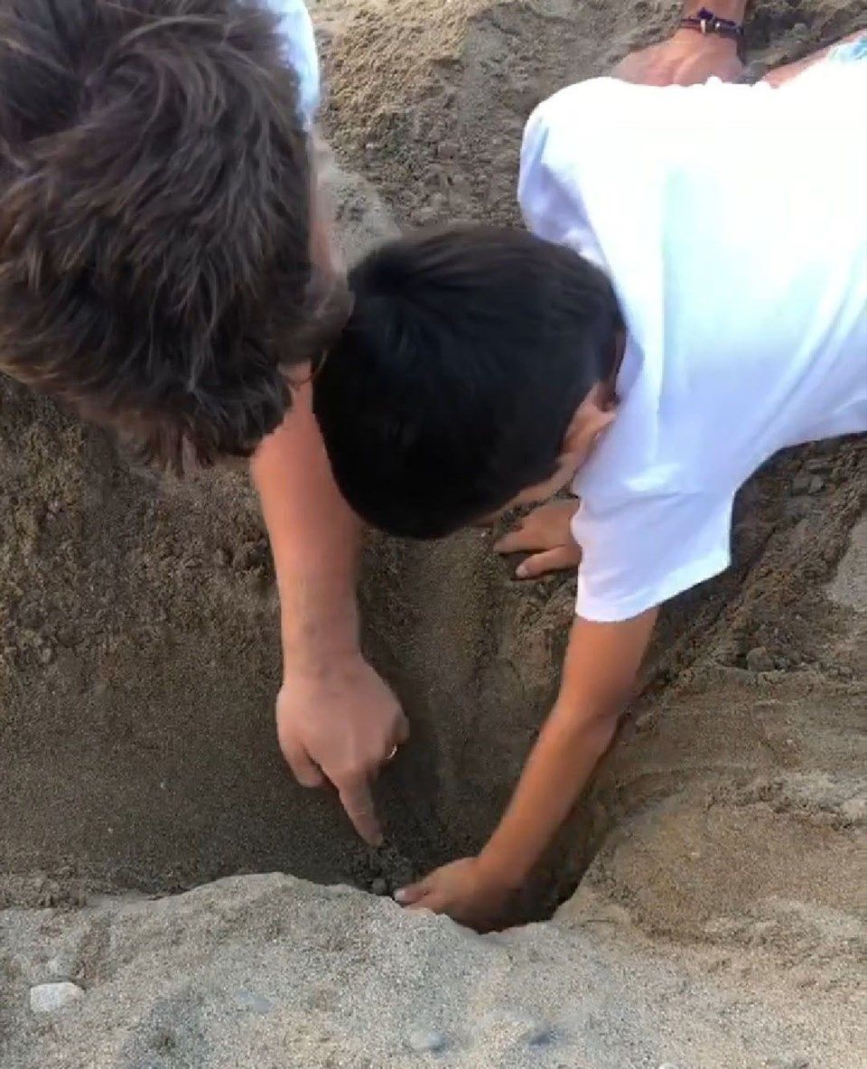 Ünlü oyuncular kaplumbağaları denize kavuşturdu! 3