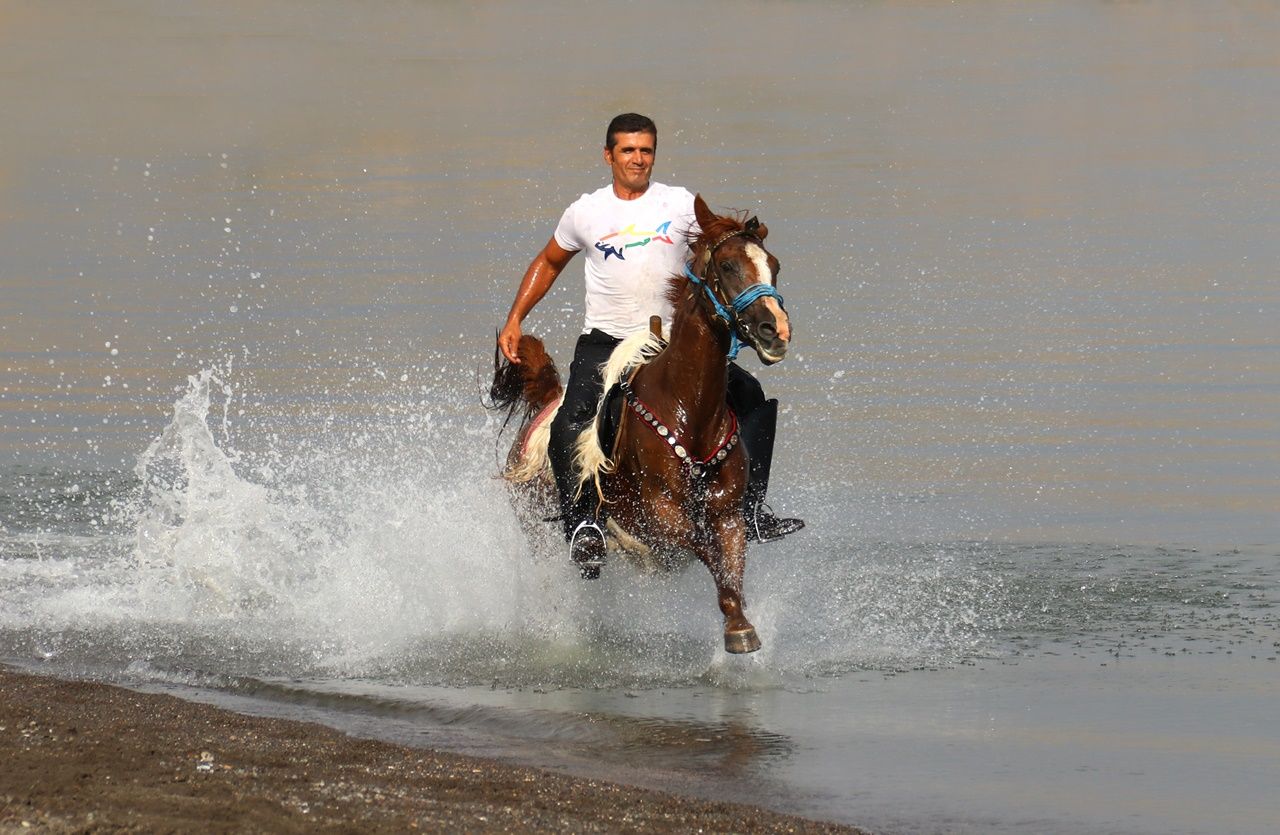 Yarış atlarının Van Gölü'ndeki antrenmanı... 1