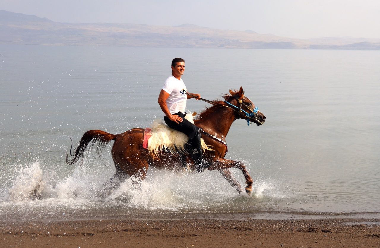 Yarış atlarının Van Gölü'ndeki antrenmanı... 2