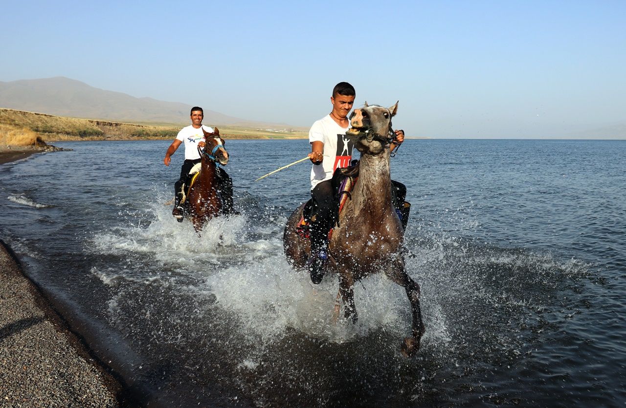 Yarış atlarının Van Gölü'ndeki antrenmanı... 6