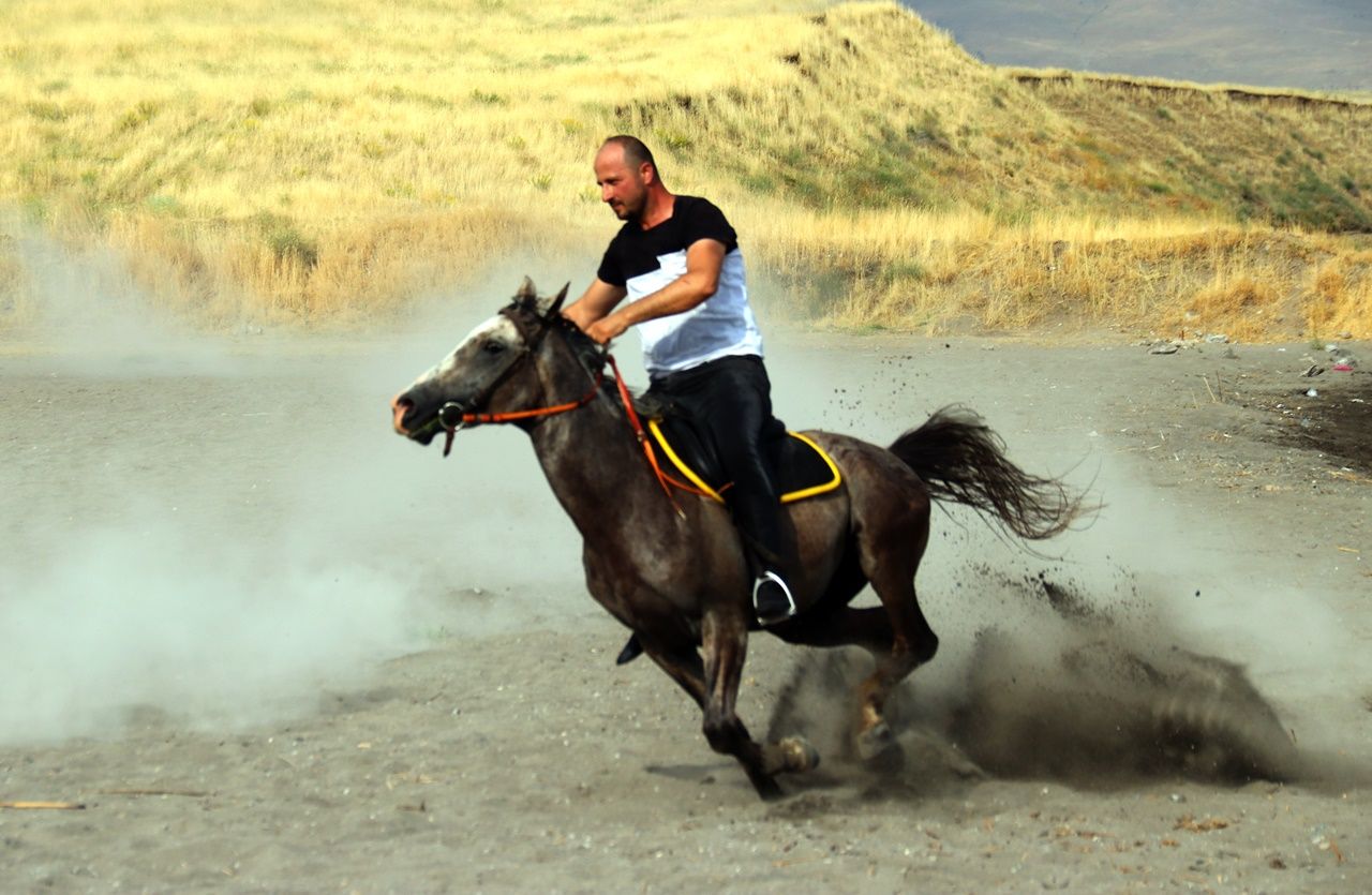 Yarış atlarının Van Gölü'ndeki antrenmanı... 11