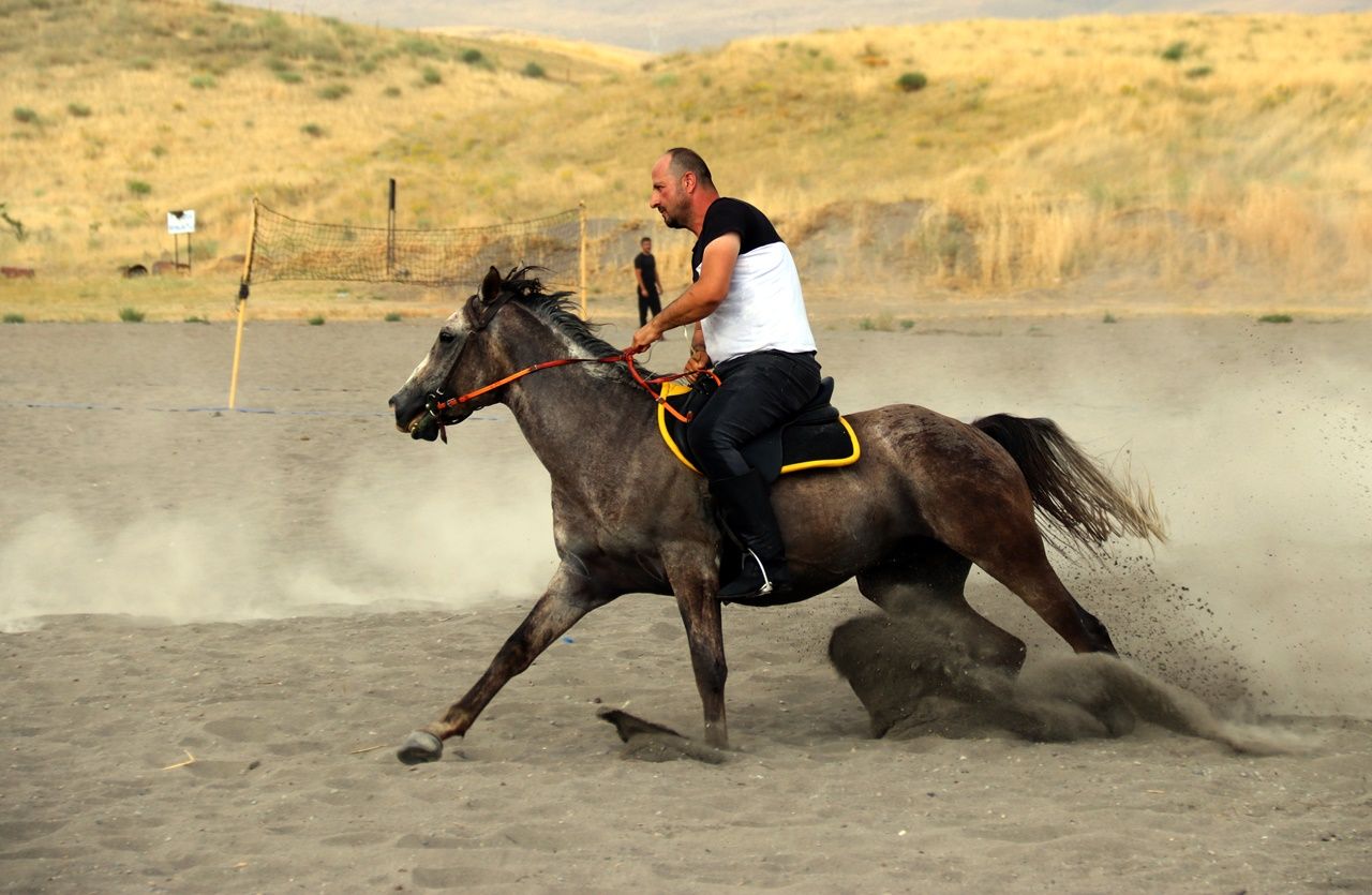 Yarış atlarının Van Gölü'ndeki antrenmanı... 12