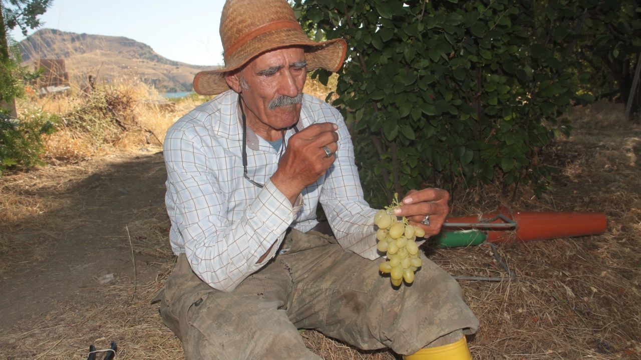 Adada tek başına yaşıyor! 14
