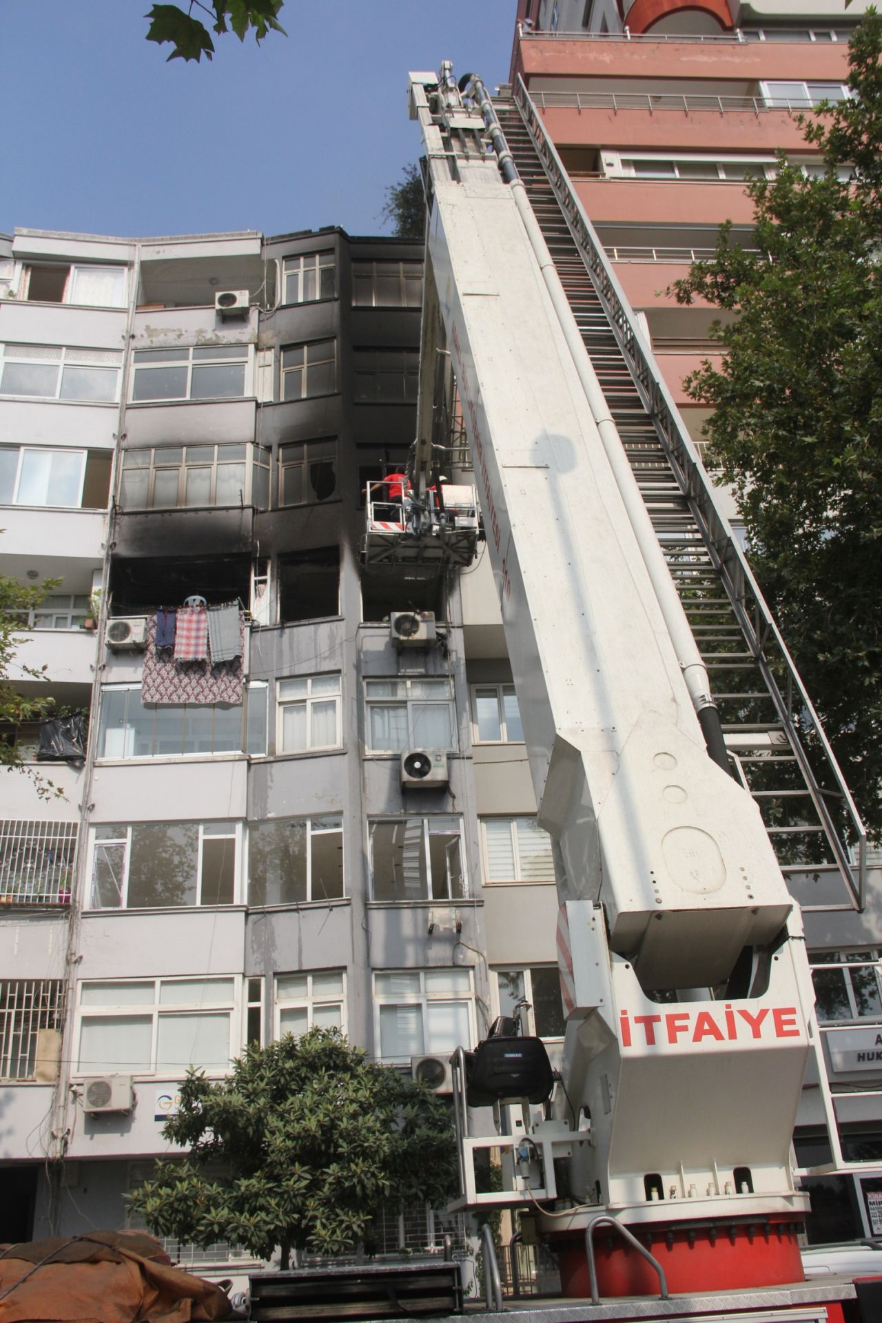 Adana'da mahalleli feci manzaraya bakamadı! 2