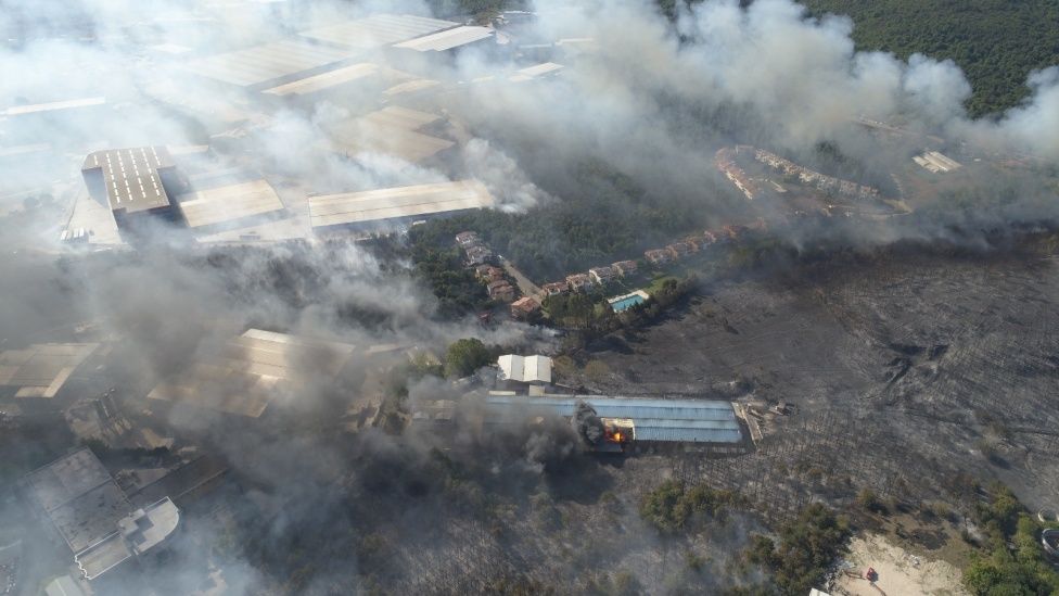 Gebze'de ormanda başlayan yangın fabrikaya sıçradı! 1