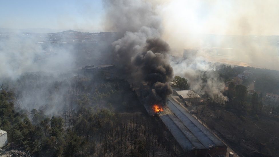 Gebze'de ormanda başlayan yangın fabrikaya sıçradı! 3