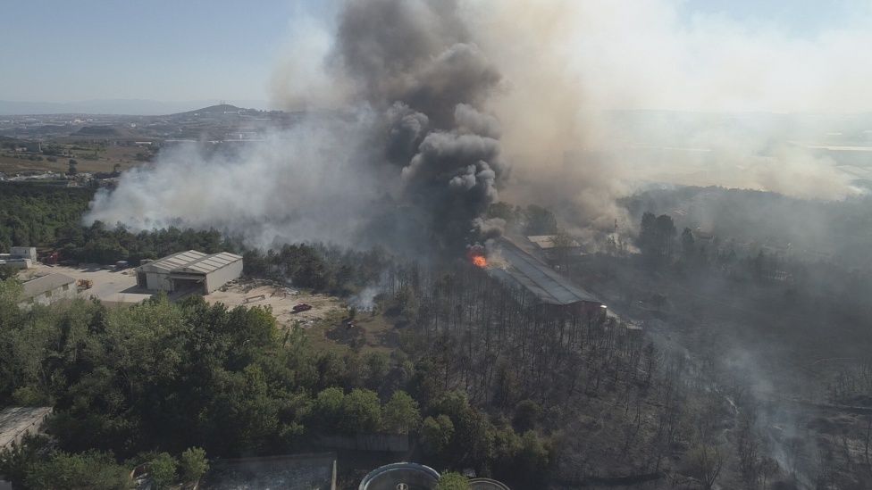 Gebze'de ormanda başlayan yangın fabrikaya sıçradı! 4