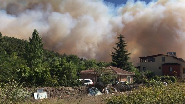 Gebze'de ormanda başlayan yangın fabrikaya sıçradı! 14
