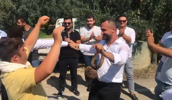 Boynuna öküz çanı takıp, etekle oynattılar! 4