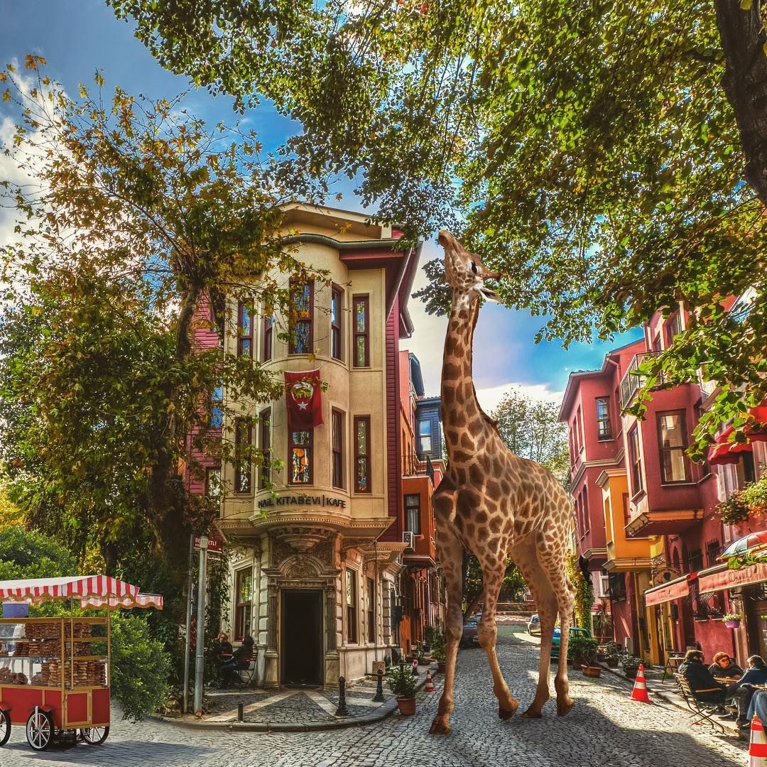 İstanbul tasvirleriyle masal dünyası yarattı! 12