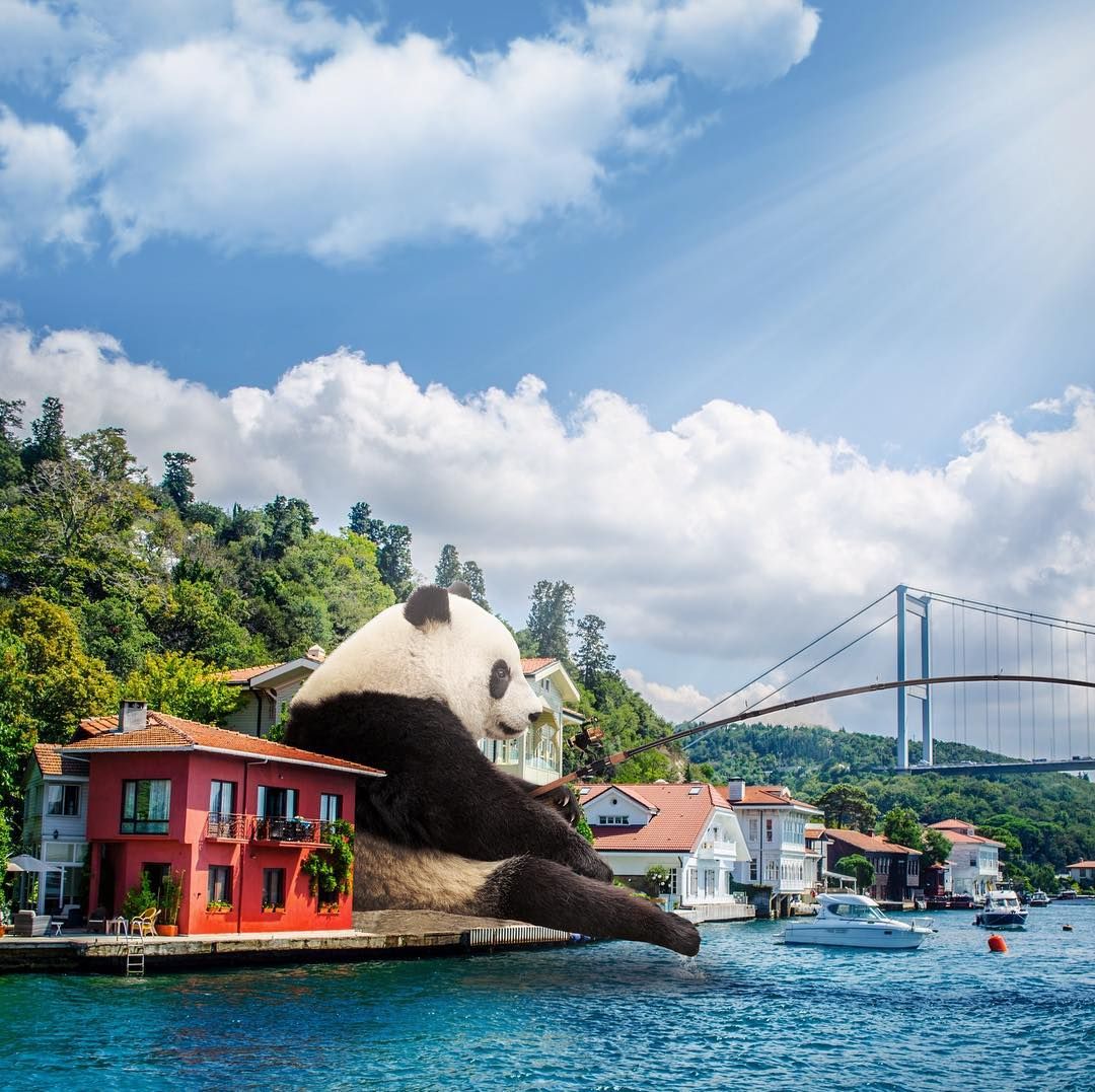 İstanbul tasvirleriyle masal dünyası yarattı! 7
