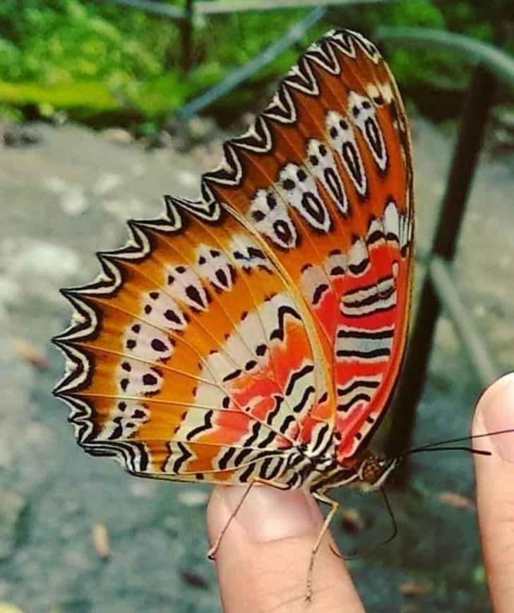 Muhtemelen ilk kez göreceğiniz fotoğraflar! 8