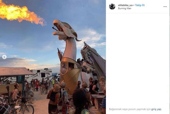 Burning Man'dan renkli kareler! 19