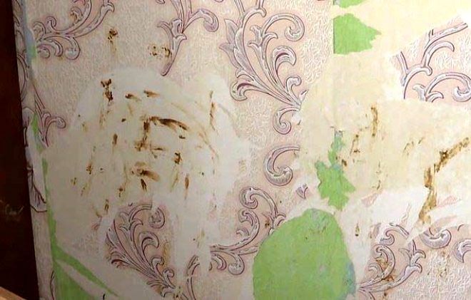 Annesi eğlenceye giden bebek açlıktan öldü! 3