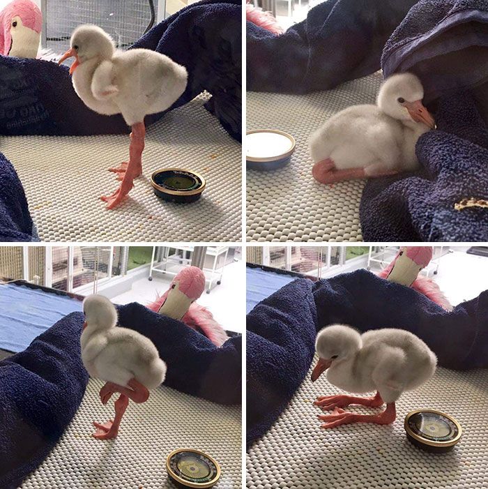Dünyanın görünmeyen yüzüne ait fotoğraflar! 3