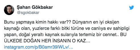 Bu kadınlardan bir tweeti esirgediler! 13