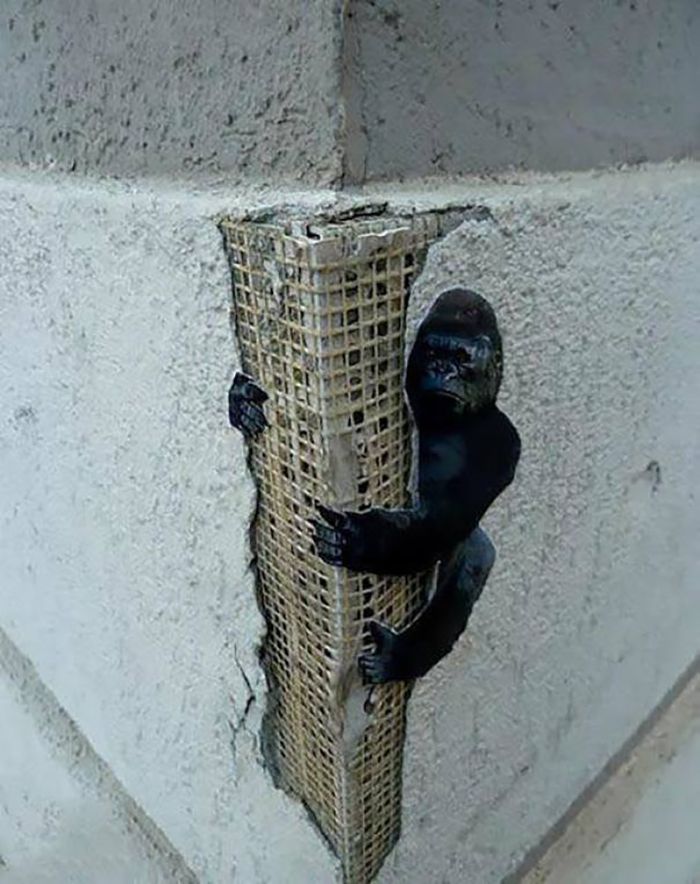 Birbirinden renkli sokak sanatları! 14