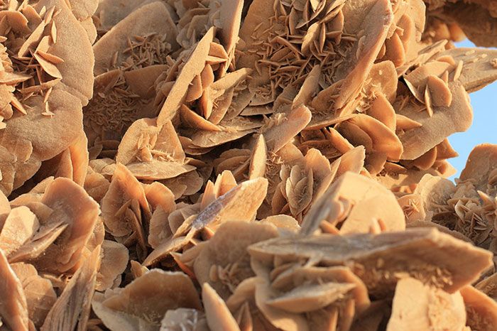 Nadir görülen doğa olayları! 22