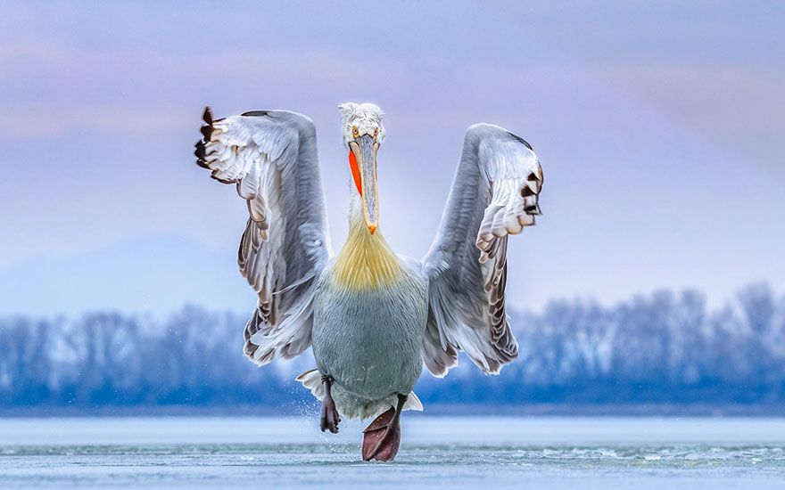İşte özgürlüğün fotoğrafı! 1