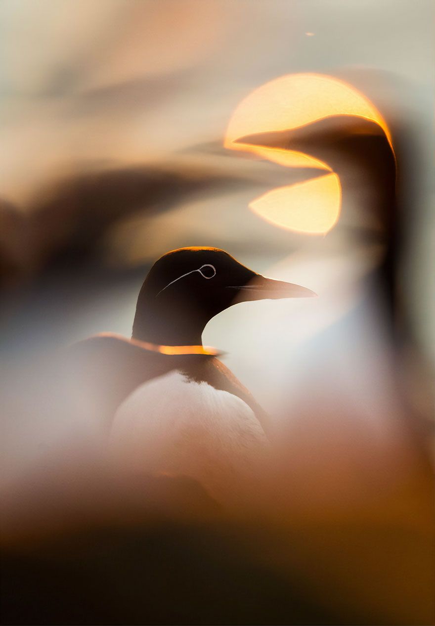İşte özgürlüğün fotoğrafı! 11
