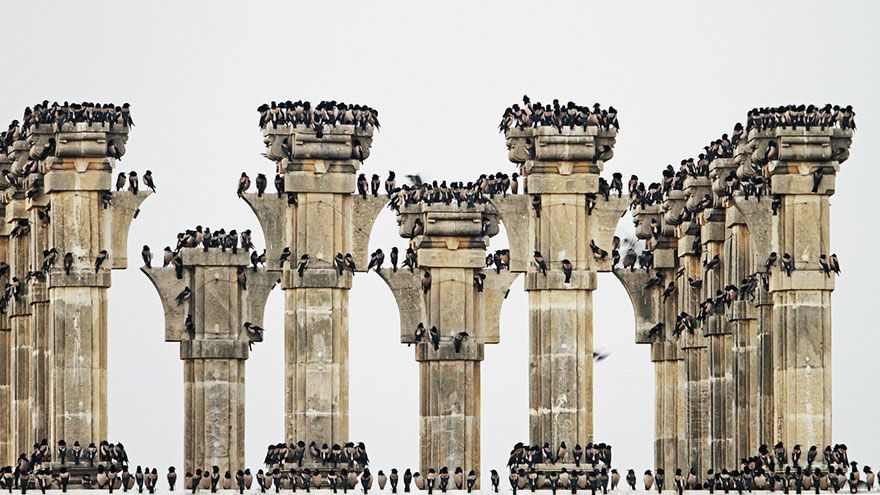 İşte özgürlüğün fotoğrafı! 17